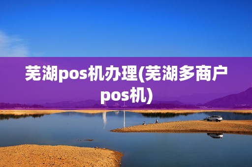 芜湖pos机办理(芜湖多商户pos机)