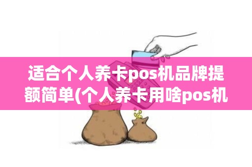 适合个人养卡pos机品牌提额简单(个人养卡用啥pos机)