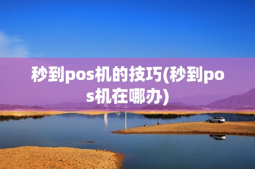 秒到pos机的技巧(秒到pos机在哪办)