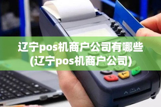 辽宁pos机商户公司有哪些(辽宁pos机商户公司)