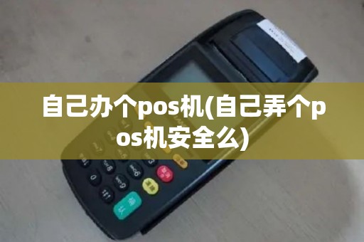 自己办个pos机(自己弄个pos机安全么)