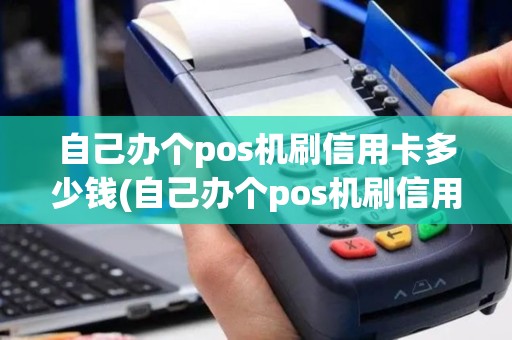 自己办个pos机刷信用卡多少钱(自己办个pos机刷信用卡)