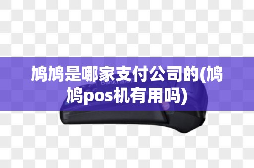 鸠鸠是哪家支付公司的(鸠鸠pos机有用吗)