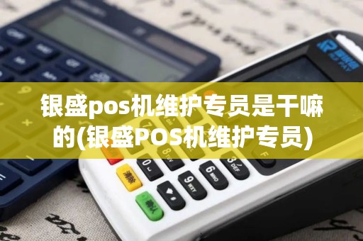 银盛pos机维护专员是干嘛的(银盛POS机维护专员)
