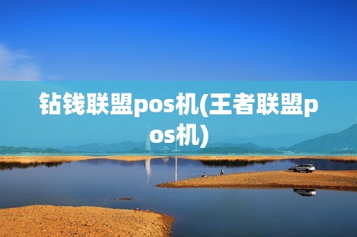 钻钱联盟pos机(王者联盟pos机)