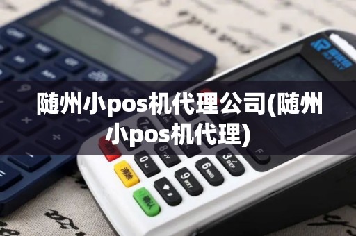 随州小pos机代理公司(随州小pos机代理)