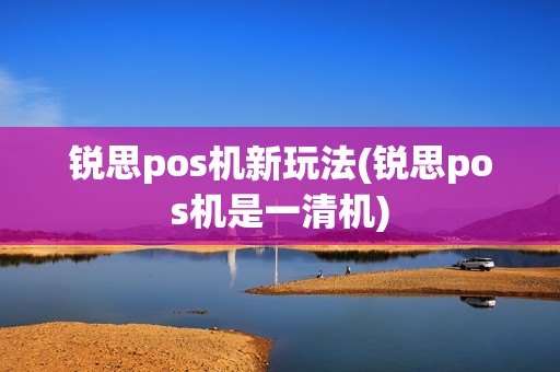 锐思pos机新玩法(锐思pos机是一清机)
