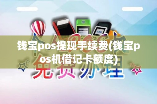 钱宝pos提现手续费(钱宝pos机借记卡额度)