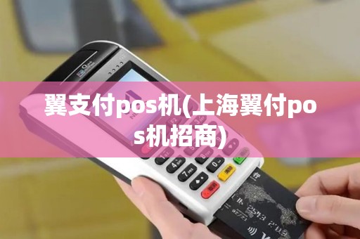 翼支付pos机(上海翼付pos机招商)
