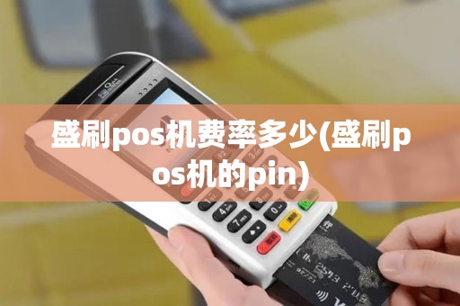 盛刷pos机费率多少(盛刷pos机的pin)