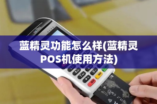 蓝精灵功能怎么样(蓝精灵POS机使用方法)
