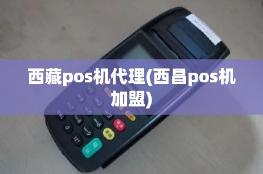 西藏pos机代理(西昌pos机加盟)