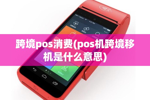 跨境pos消费(pos机跨境移机是什么意思)