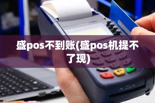盛pos不到账(盛pos机提不了现)
