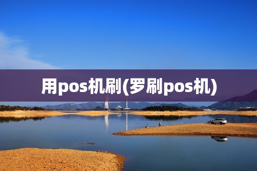 用pos机刷(罗刷pos机)