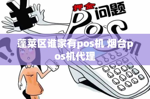 蓬莱区谁家有pos机 烟台pos机代理