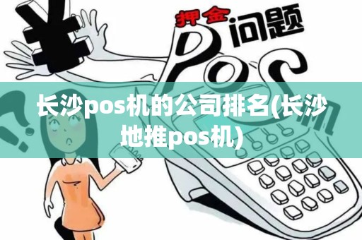 长沙pos机的公司排名(长沙地推pos机)