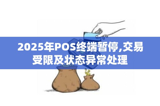 2025年POS终端暂停,交易受限及状态异常处理