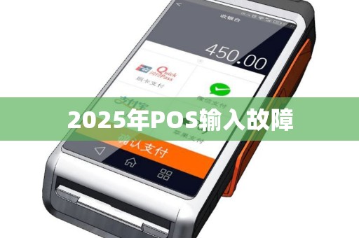 2025年POS输入故障