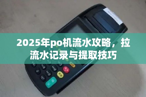2025年po机流水攻略，拉流水记录与提取技巧