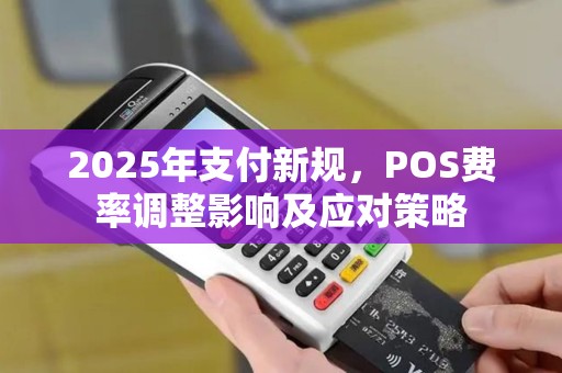 2025年支付新规，POS费率调整影响及应对策略