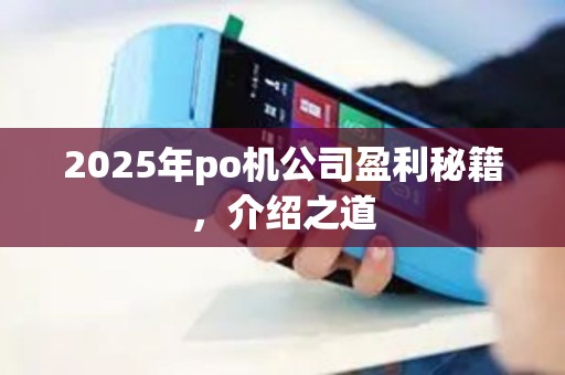 2025年po机公司盈利秘籍，介绍之道