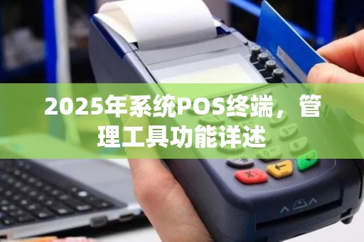 2025年系统POS终端，管理工具功能详述
