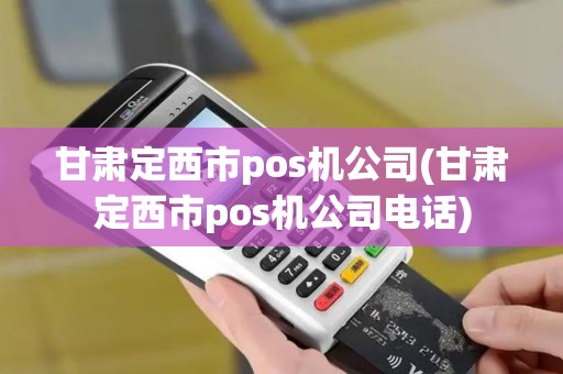 甘肃定西市pos机公司(甘肃定西市pos机公司电话)