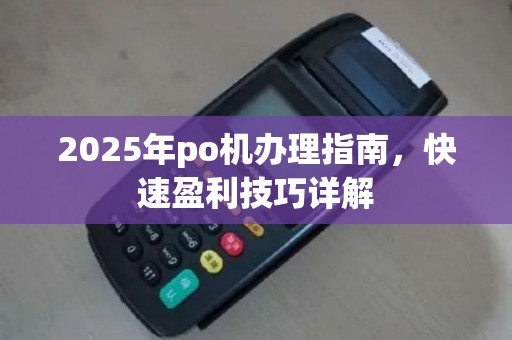 2025年po机办理指南，快速盈利技巧详解