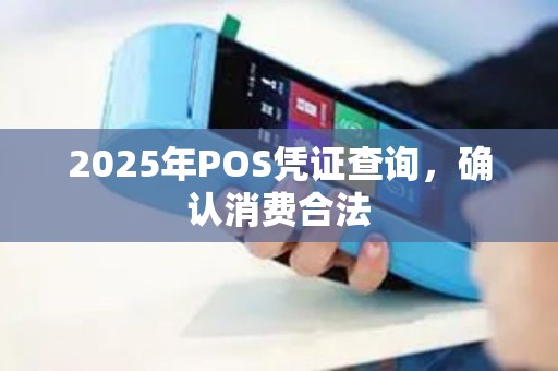 2025年POS凭证查询，确认消费合法