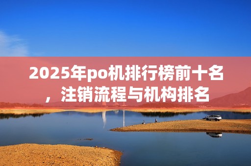 2025年po机排行榜前十名，注销流程与机构排名