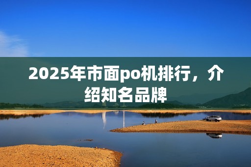 2025年市面po机排行，介绍知名品牌