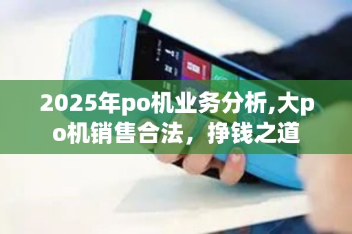 2025年po机业务分析,大po机销售合法，挣钱之道