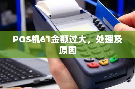 POS机61金额过大，处理及原因