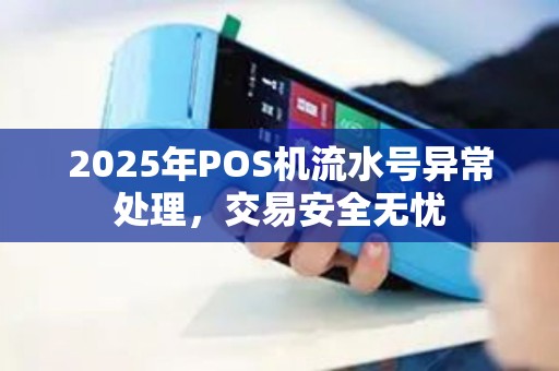 2025年POS机流水号异常处理，交易安全无忧