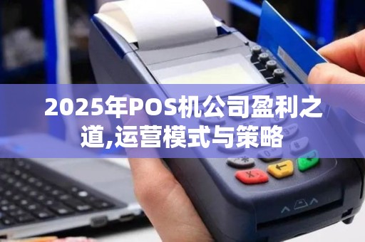 2025年POS机公司盈利之道,运营模式与策略
