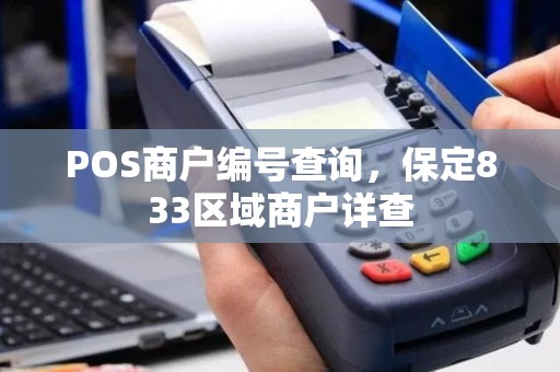 POS商户编号查询，保定833区域商户详查