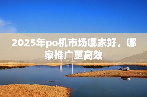 2025年po机市场哪家好，哪家推广更高效