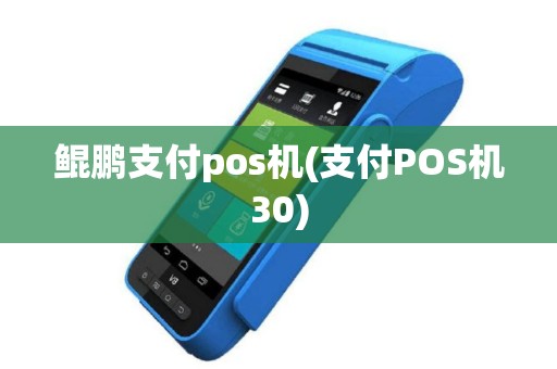 鲲鹏支付pos机(支付POS机30)