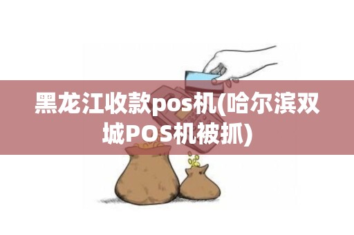 黑龙江收款pos机(哈尔滨双城POS机被抓)