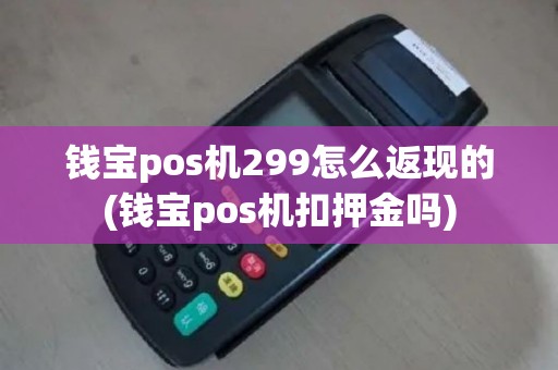 钱宝pos机299怎么返现的(钱宝pos机扣押金吗)