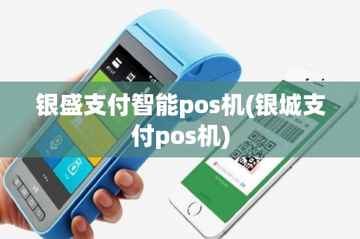 银盛支付智能pos机(银城支付pos机)