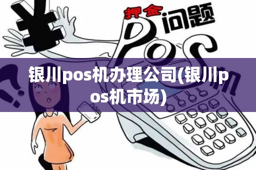 银川pos机办理公司(银川pos机市场)