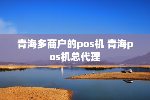 青海多商户的pos机 青海pos机总代理