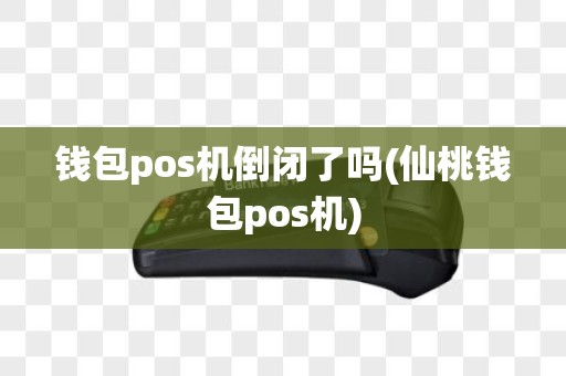钱包pos机倒闭了吗(仙桃钱包pos机)