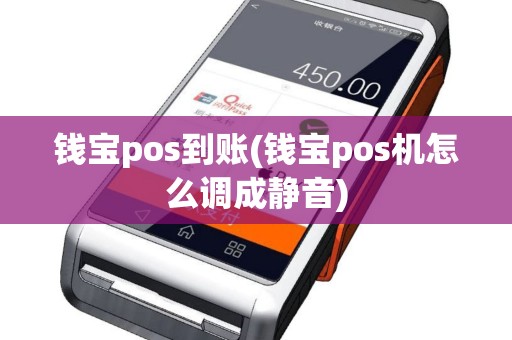 钱宝pos到账(钱宝pos机怎么调成静音)