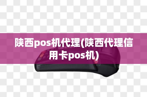 陕西pos机代理(陕西代理信用卡pos机)
