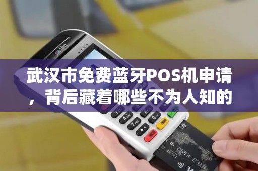 武汉市免费蓝牙POS机申请，背后藏着哪些不为人知的‘套路’