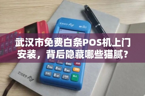武汉市免费白条POS机上门安装，背后隐藏哪些猫腻？揭秘免费背后的真相！
