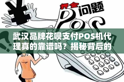 武汉品牌花呗支付POS机代理真的靠谱吗？揭秘背后的5大陷阱与3个真实收益点！